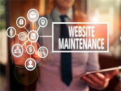 温州软件开发与网站建设的领航者 数字技术的力量